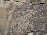 petroglifs_11