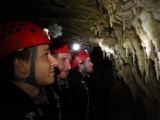 Новая Зеландия 2012. Пещеры Вайтомо