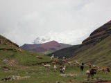 Перу 2013. Аусангате