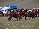 tibetians_16