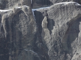 east_face_11