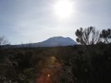 kilimanjaro_032