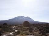 kilimanjaro_042