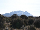 kilimanjaro_043