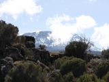 kilimanjaro_053