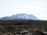 kilimanjaro_048
