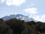 kilimanjaro_050