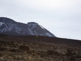 kilimanjaro_066