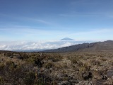 kilimanjaro_068