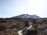 kilimanjaro_070