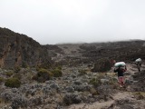 kilimanjaro_103
